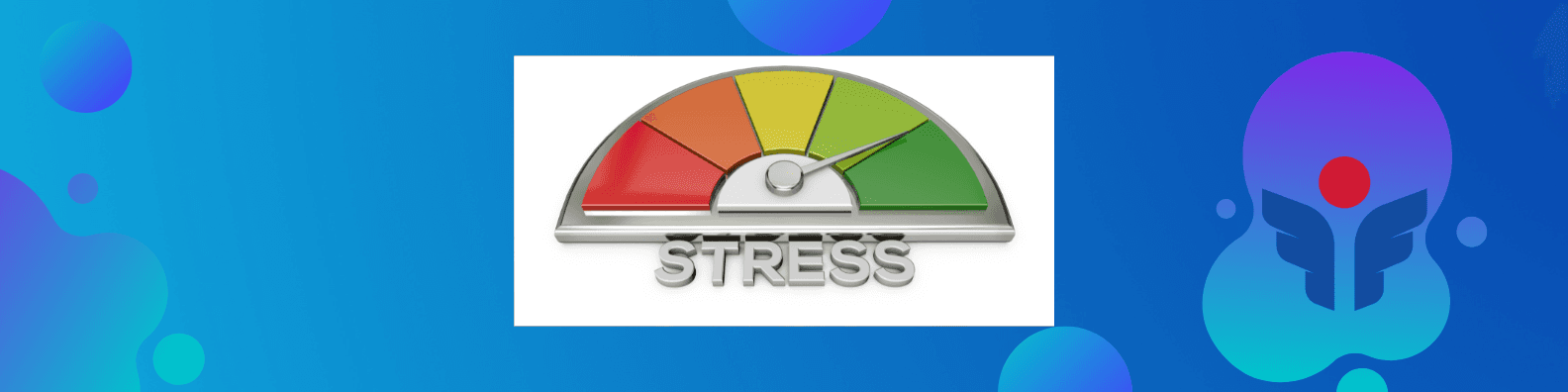 Hệ thống STRESS RADAR: Bí Quyết Đo Lường &amp; Cảnh Báo Sớm Tình Trạng Overwhelm Cho Nhà Lãnh Đạo Và Coach Hiệu Quả!